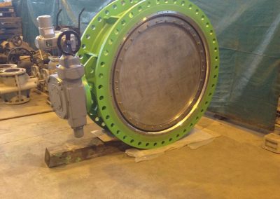 Revisione certificazione valvole industriali